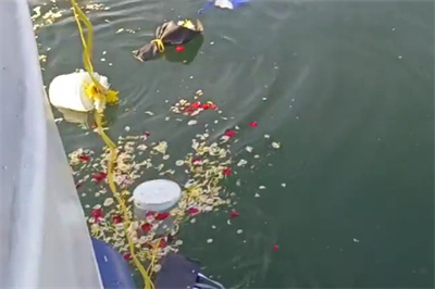 2024-08-30_131557 2024-08-30_131557